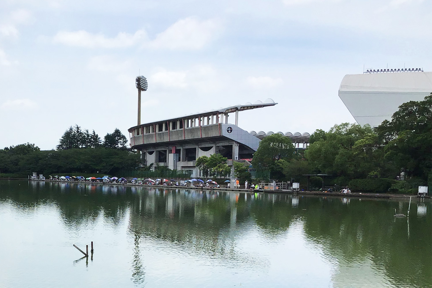 梅雨の季節の等々力緑地 新 小杉散歩 新小杉開発株式会社